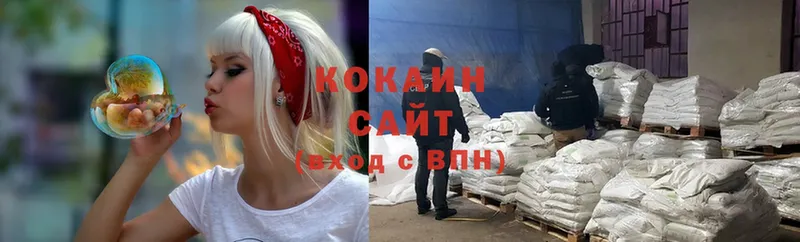 маркетплейс состав  Звенигород  COCAIN Fish Scale 